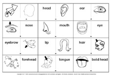 Domino-body-1.pdf